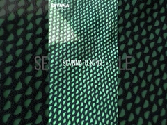 Déclaration durable avec du tissu de maillots de bain recyclé Matériau écologique pour la collection de maillots de bain